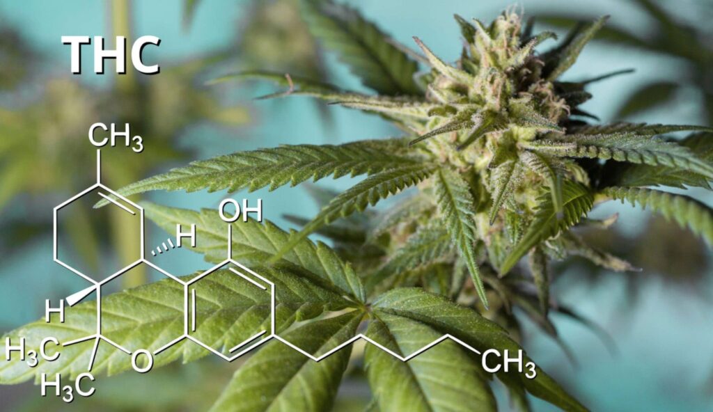 thc-benefits-properties-and-side-effects