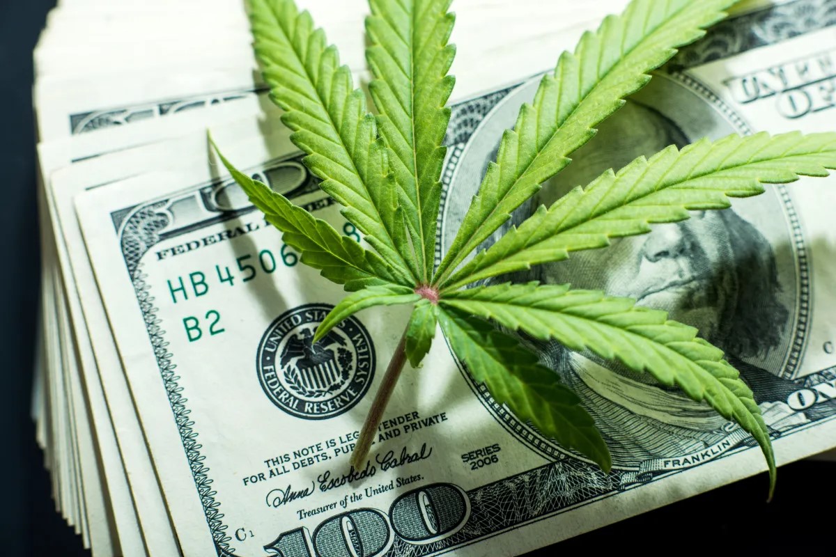 cannabis-economy