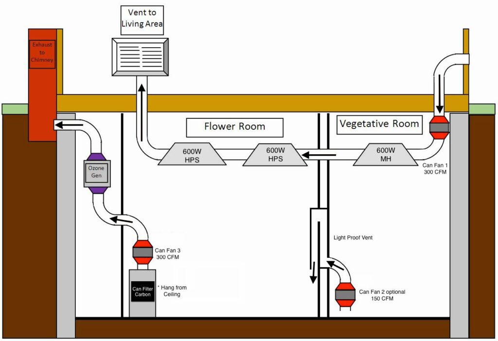 perpetual-growth-grow-room-design-and-setup