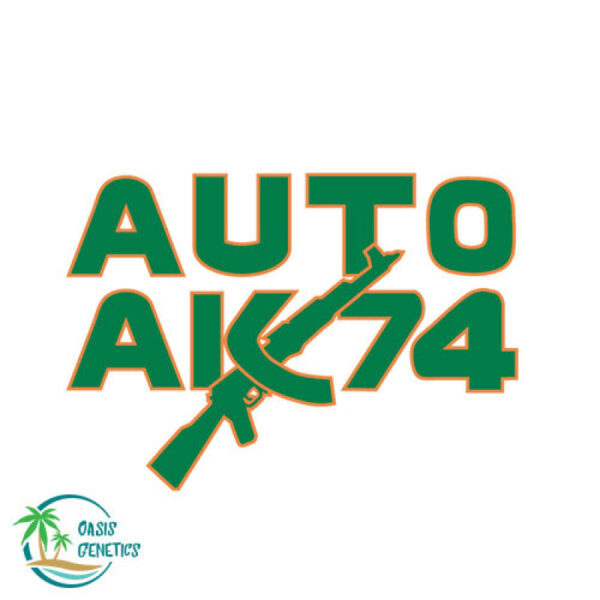 auto-ak74-oasis