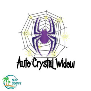 auto-crystal-widow-oasis
