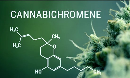 cannabichromene-cbc-dagga-seeds