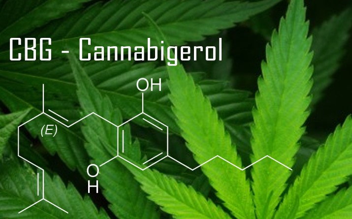 phytocannabinoids