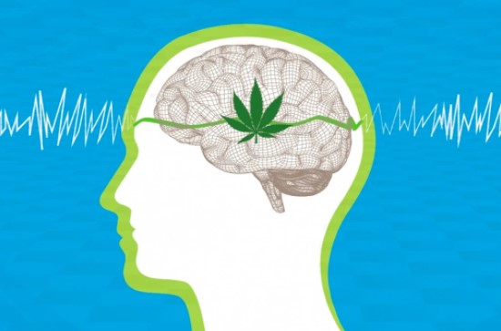 weed-during-pregnancy-effects-on-baby-brain