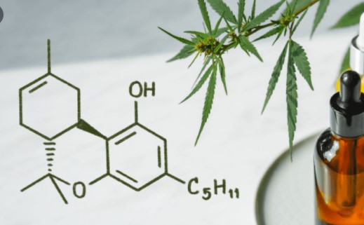 phytocannabinoids