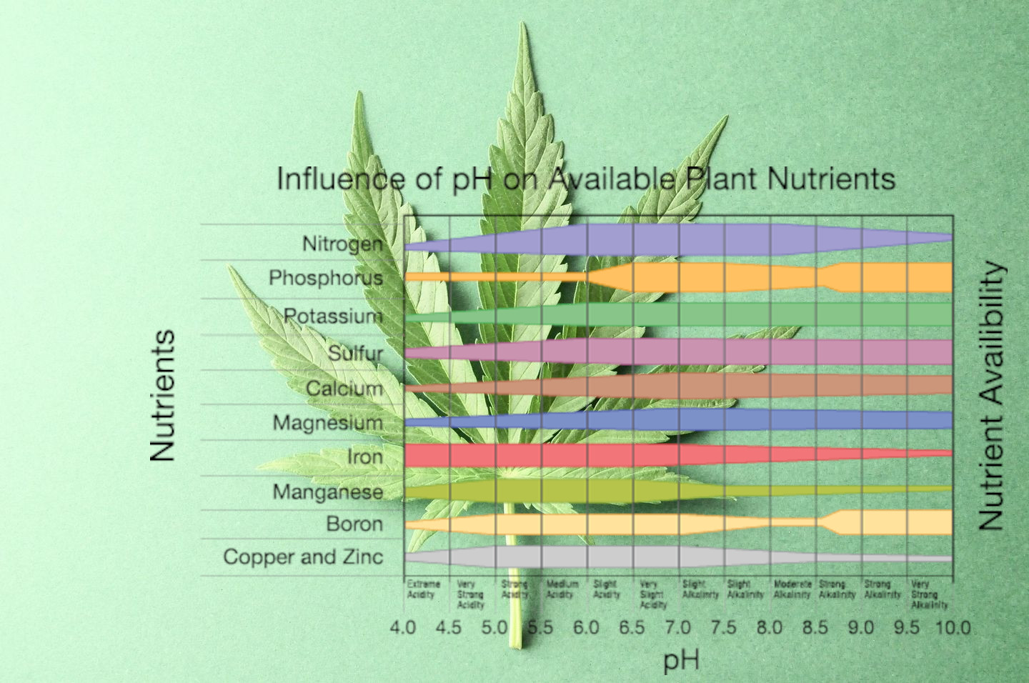 how-to-adjust-ph-of-cannabis-nutrients