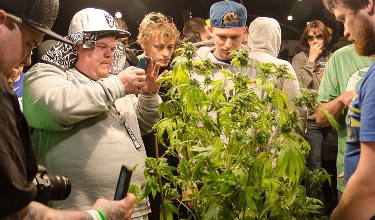 cannabis-cup-display-photo-op