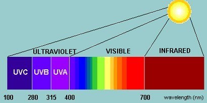 best-lighting-spectrum-vegetative-flowering-100nm-700nm