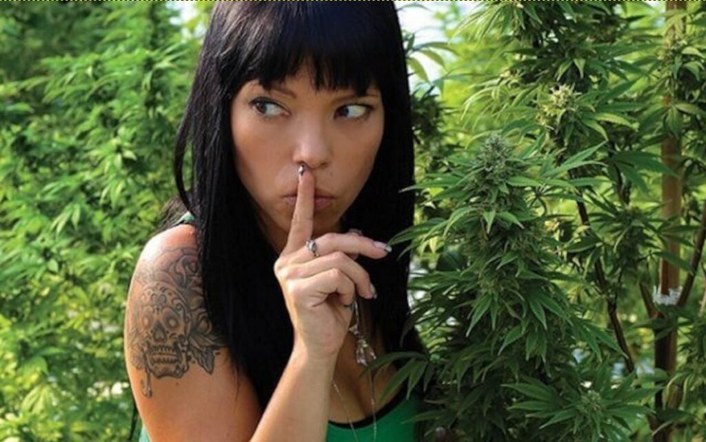 odor-control-cannabis-weed-marijuana-mistakes-in-growing-cannabis