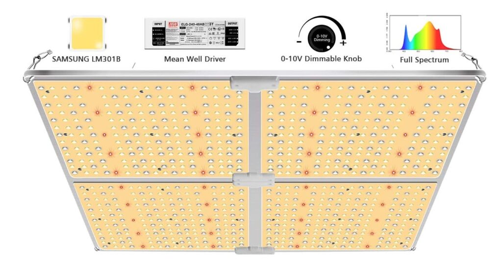 best-lighting-quantum-board-led-grow-room-setup