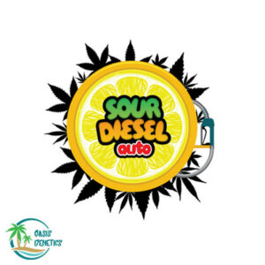 sour-diesel-auto-oasis_3
