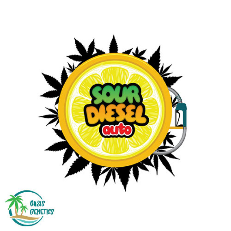 Sour Diesel Seeds | Autoflower Feminized