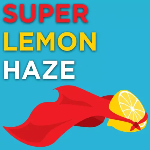 Super Lemon Haze Seeds | Autoflower Feminized