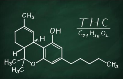 thc-class-science-of-getting-stoned