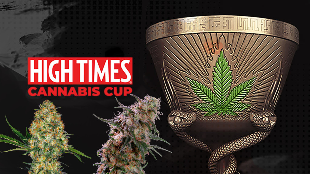 what-is-the-cannabis-cup-explained