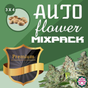 autoflower variety pack
