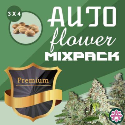 autoflower-variety-pack-seeds-canada