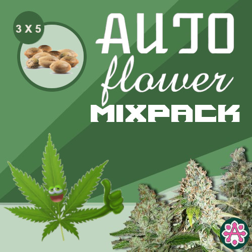 autoflower-variety-pack