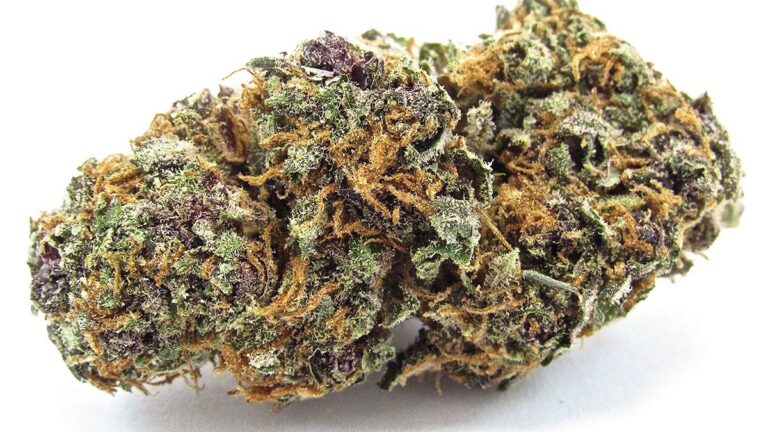 best-cannabis-top-shelf-appearance-diagram