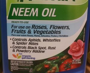 neem-oil-to-control-spider-mites-and-exterminate