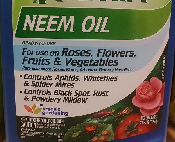 neem-oil-to-control-organic-treatment
