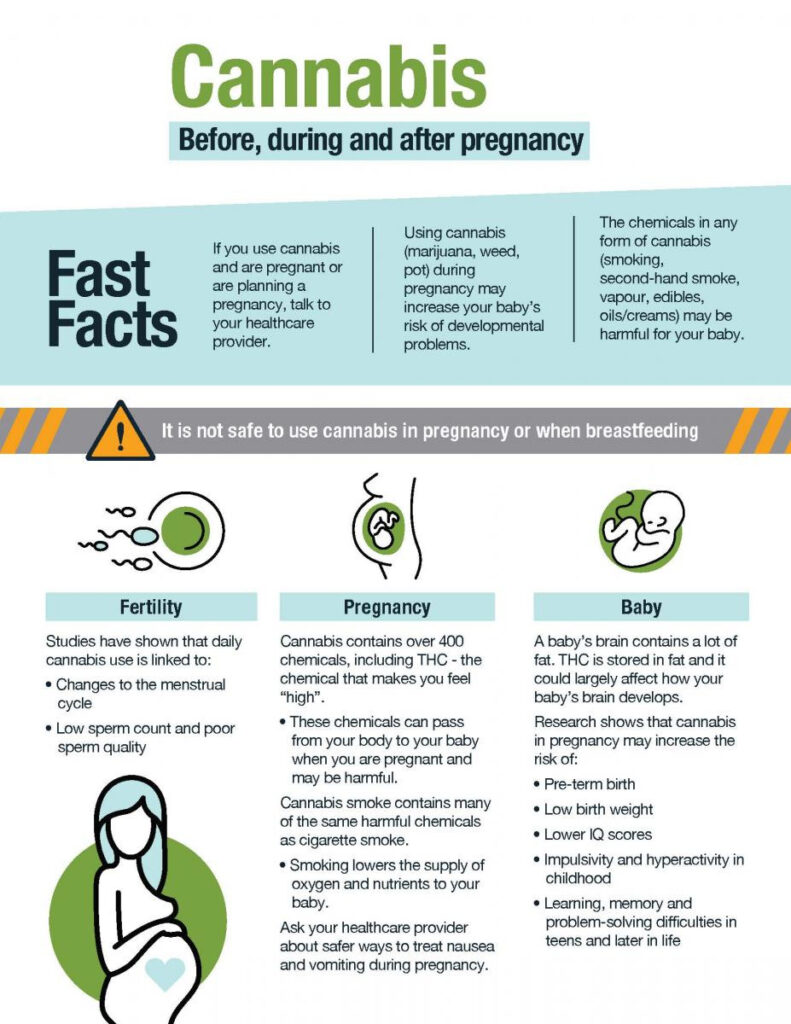 weed-while-pregnant-fact-sheet