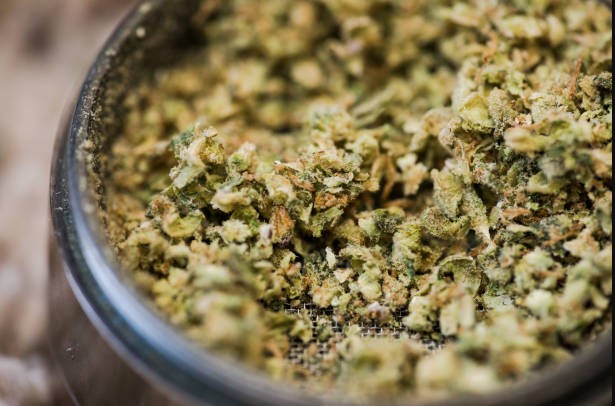 ground-cannabis-closeup-of-weed