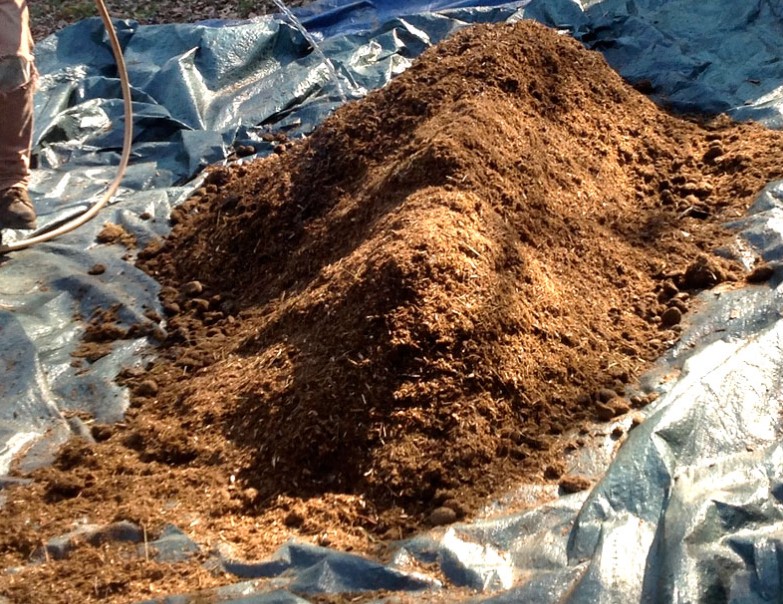 making-super-soil-for-best-outdoor-grow-setup-step-1
