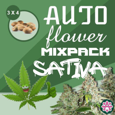 sativa-variety-pack-autoflower-cannabis seeds-mix-pack