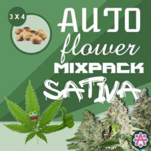 sativa-variety-pack-autoflower-cannabis-seeds-mix-pack