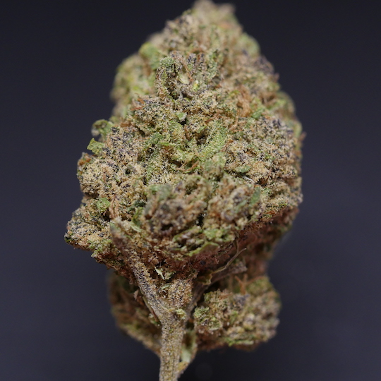 zkittlez-strain-appearance-dried-buds-close-up