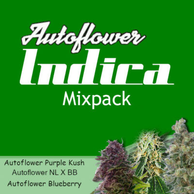 autoflower-indica-mix-pack-weed-seeds-canada