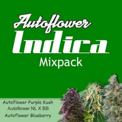 autoflower-mix-pack-indica-weed-seeds-canada