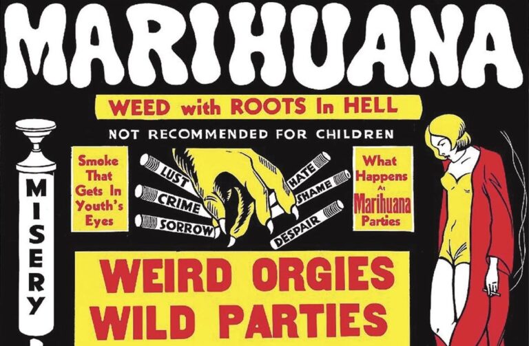 common-myths-about-weed-answered-questions-tips-medical-uses