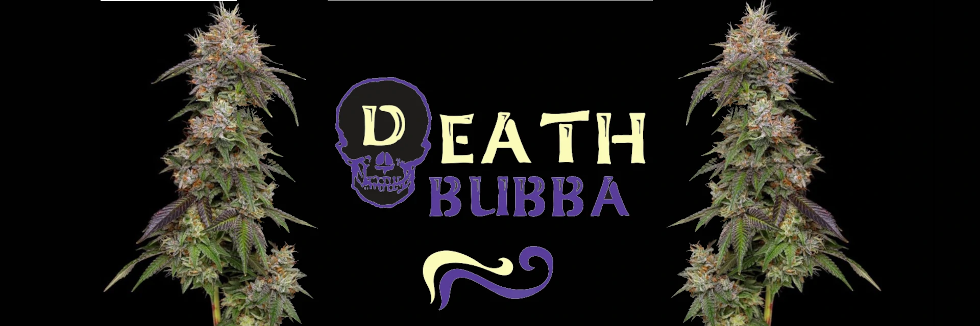 death-bubba-strain-review-effects-growing-tips