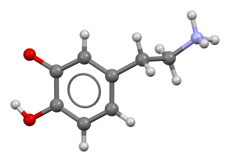 cannabis-and-dopamine-how-it-affects-the-brain