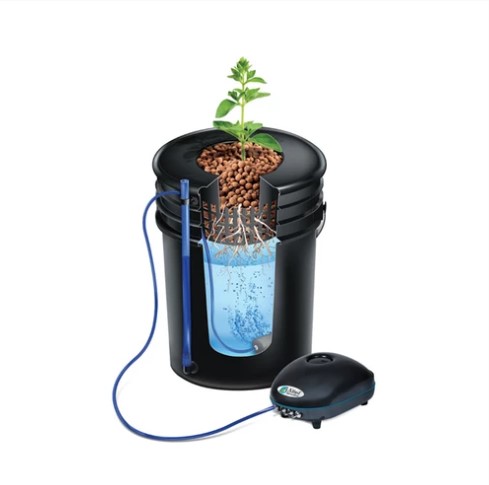 dwc-system-hydroponics-growing-weed