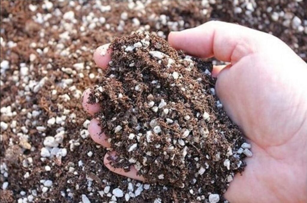 benefits-of-perlite-for-growing-cannabis