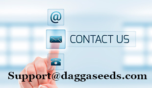 company-contact-us