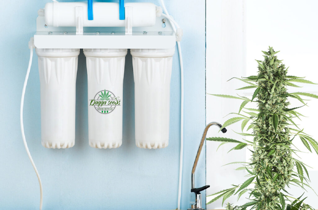 reverse-osmosis-for-weed