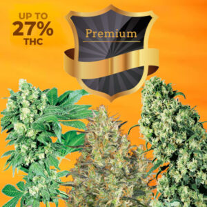 Feminized Seed Variety Pack | 15 Pack Seeds