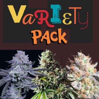 feminized-seed-variety-pack-canada