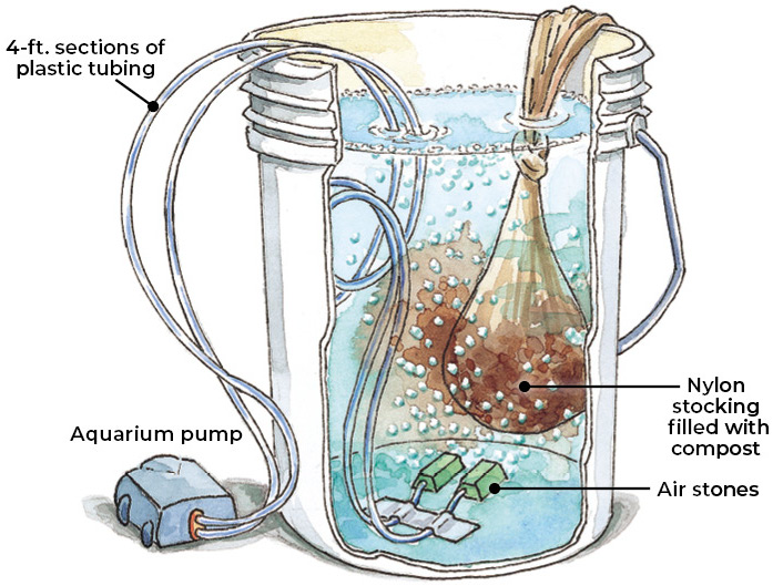 how-to-make-compost-tea