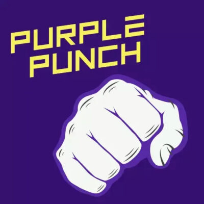 purple-punch-seeds-feminized-photo-cheap