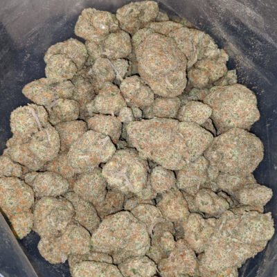 runtz-seeds-canada-cannabis