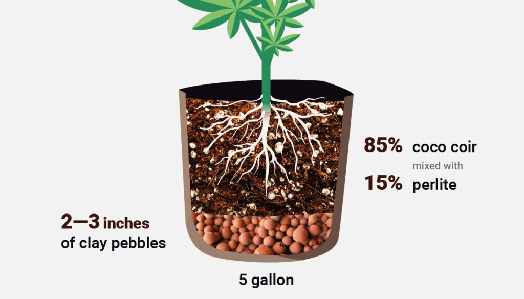 beginner-setup-growing-with-coco-coir-diagram
