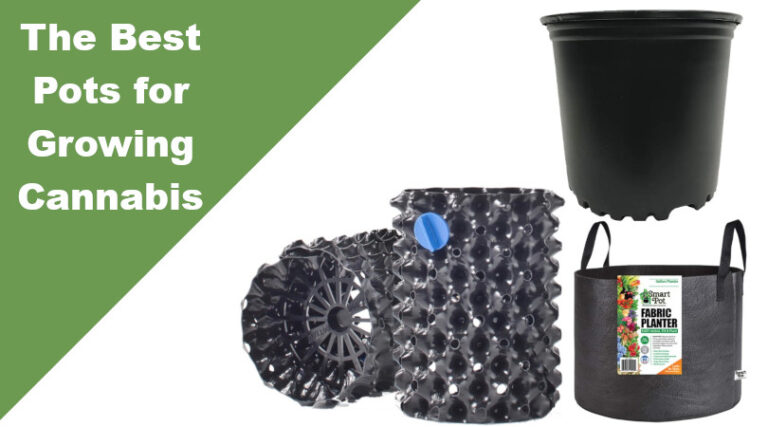 best-pots-for-growing-cannabis