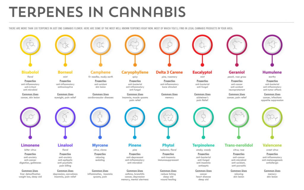 chart-of-terpenes-to-maximize-in-cannabis