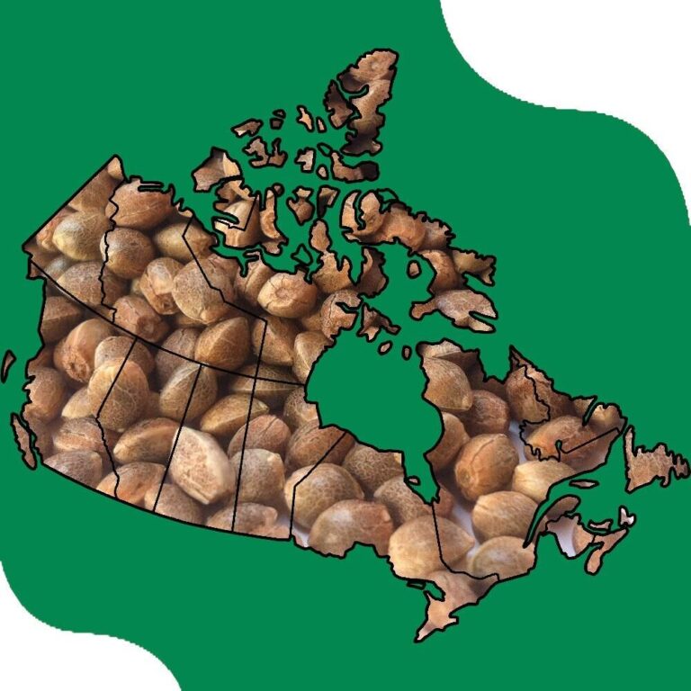 cannabis-seeds-canada-reviews