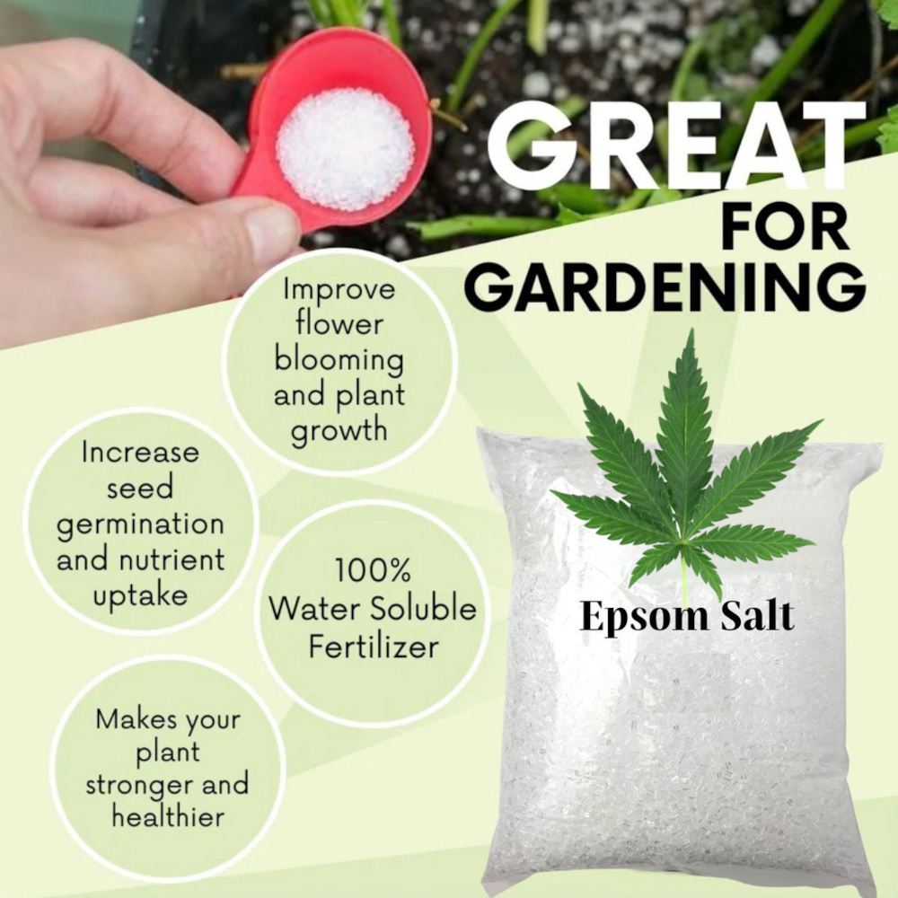 epsom-salts-for-cannabis